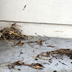 4077EF69-C949-4079-A52C-9EF6050DF31E