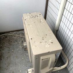 A1F64298-72AD-469D-88F4-E373E7E7BF19