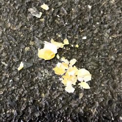 IMG_4725 - frame at 0m23s