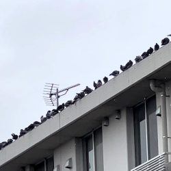 IMG_5761 - frame at 0m15s